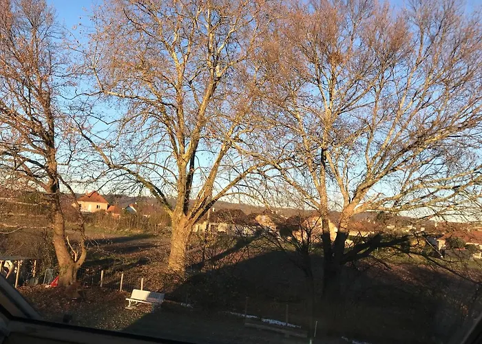 Chez Chris 公寓 欧洛圣马里