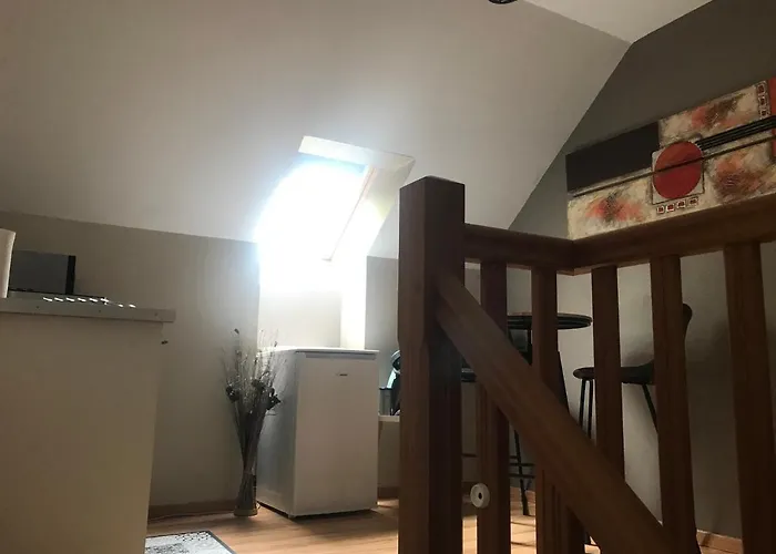 Chez Chris 公寓 欧洛圣马里